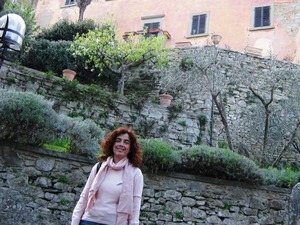 Private guided tour of Cortona to Bramasole villa, Under The Tuscan Sun
