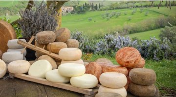 Food Wine Tours in Tuscany
